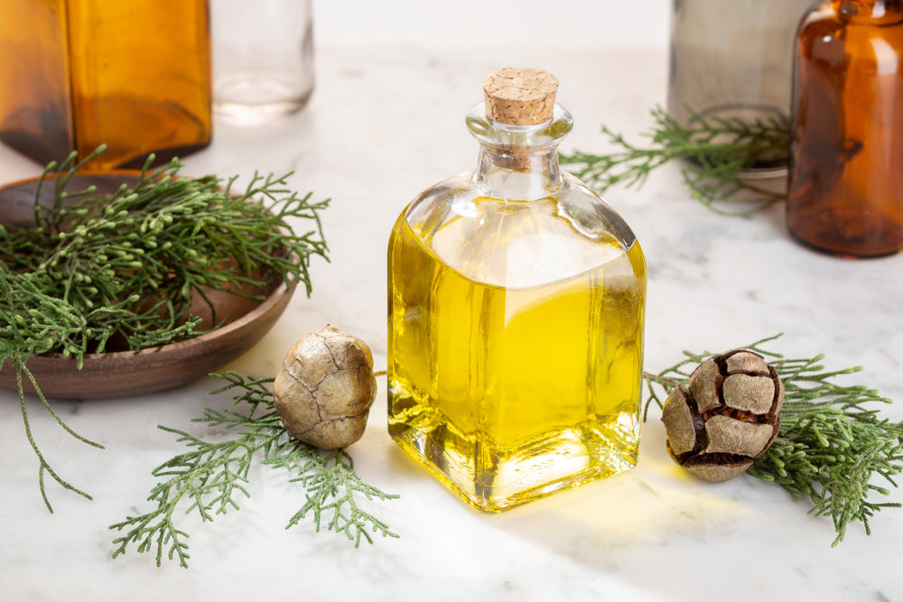 Cypress Essential Oil : A Comprehensive Guide