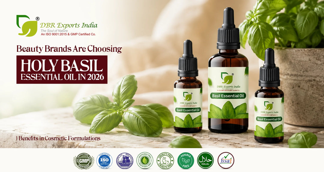 Why Beauty Brands Are Choosing Holy Basil Essential Oil in 2026: Benefits in Cosmetic Formulations