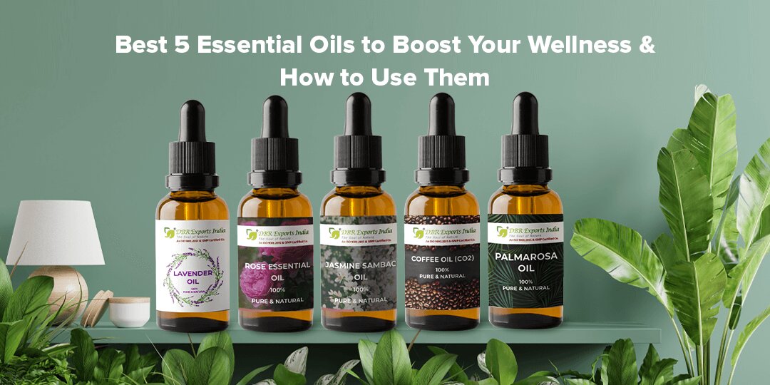 Best 5 Essential Oils to Boost Your Wellness and How to Use Them