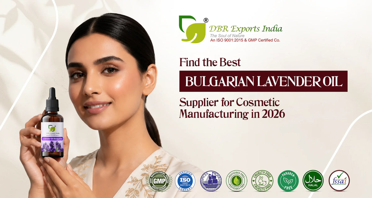 How to Find the Best Bulgarian Lavender Oil Supplier for Cosmetic Manufacturing in 2026
