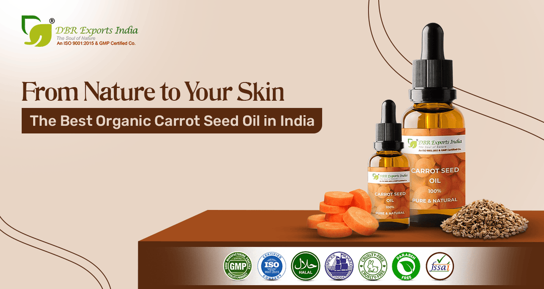 From Nature to Your Skin: Discover the Best Organic Carrot Seed Oil in India