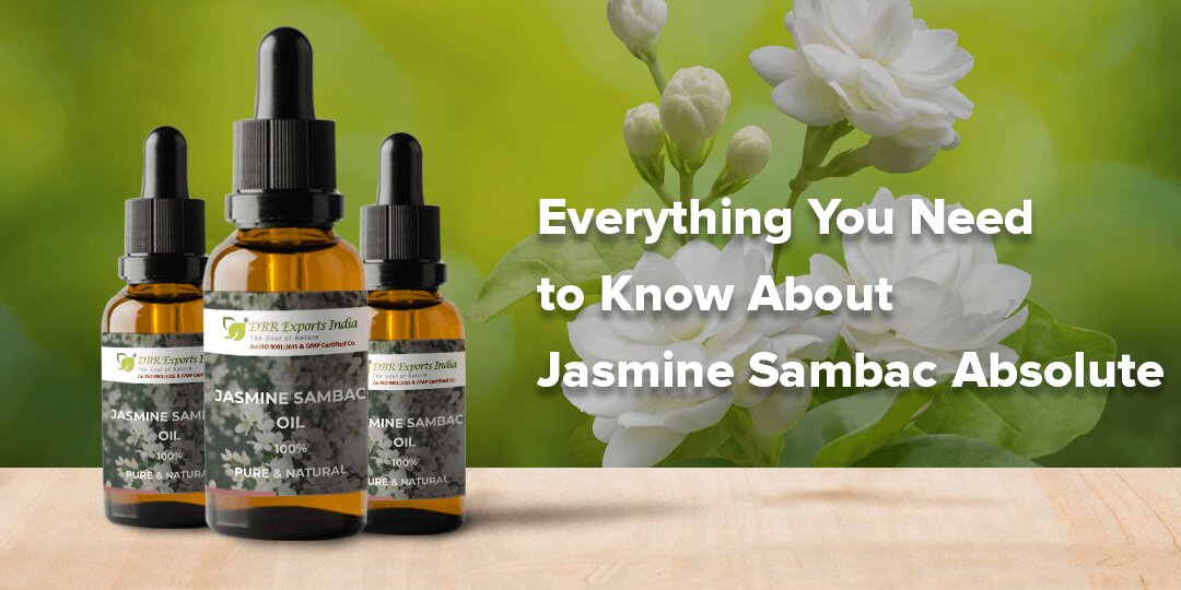 Everything You Need to Know About Jasmine Sambac Absolute