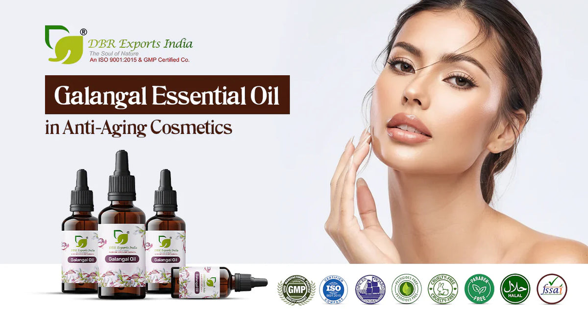 Galangal essential oil anti aging cosmetics