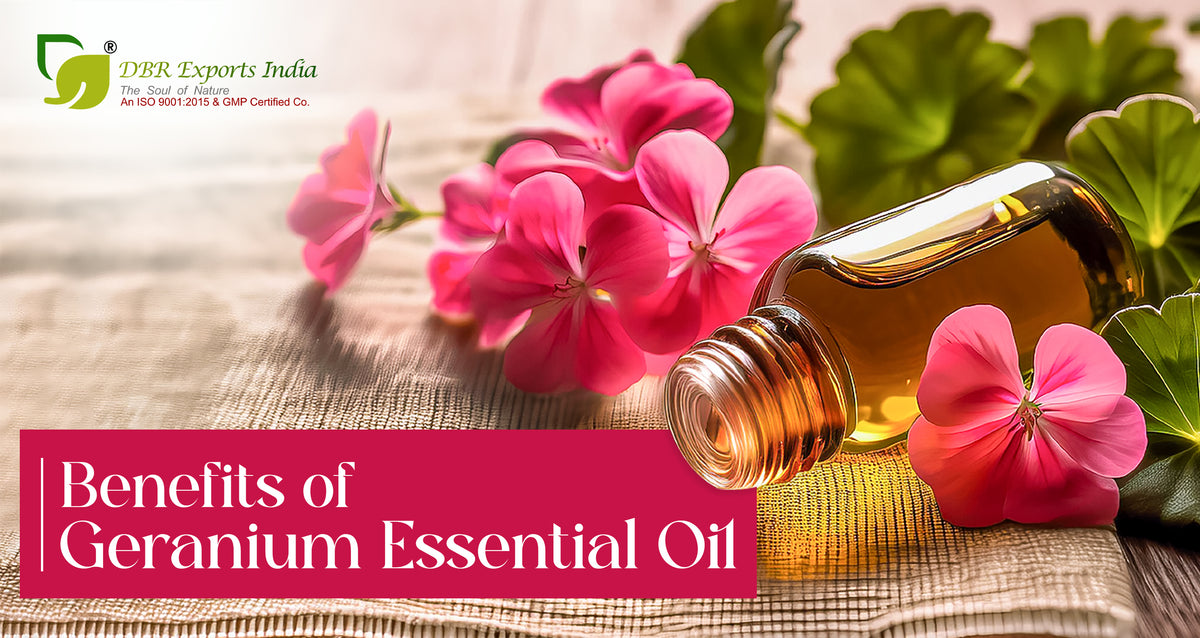 Geranium Essential Oil