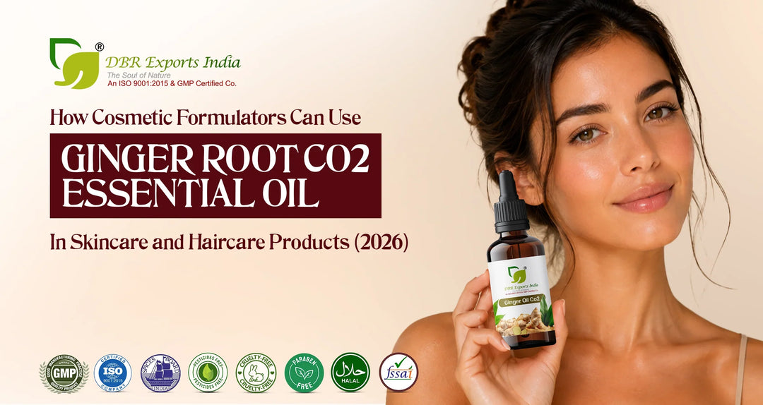 How Cosmetic Formulators Can Use Ginger Root CO2 Essential Oil in Skincare and Haircare Products (2026)