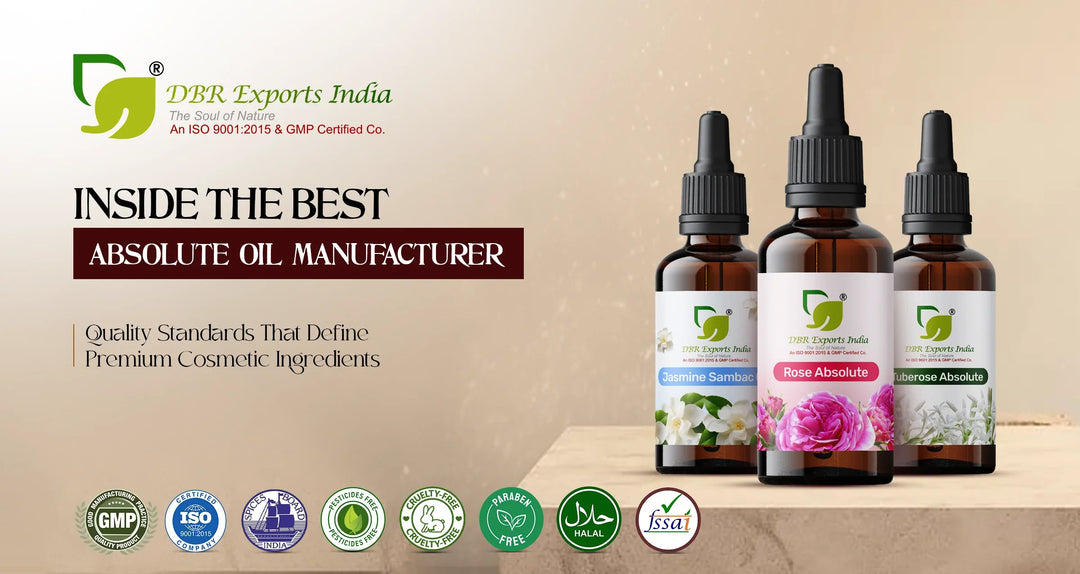best absolute oil manufacturer