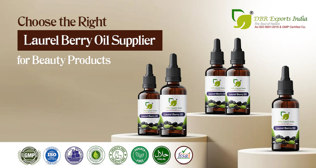 right laurel berry oil suppliers