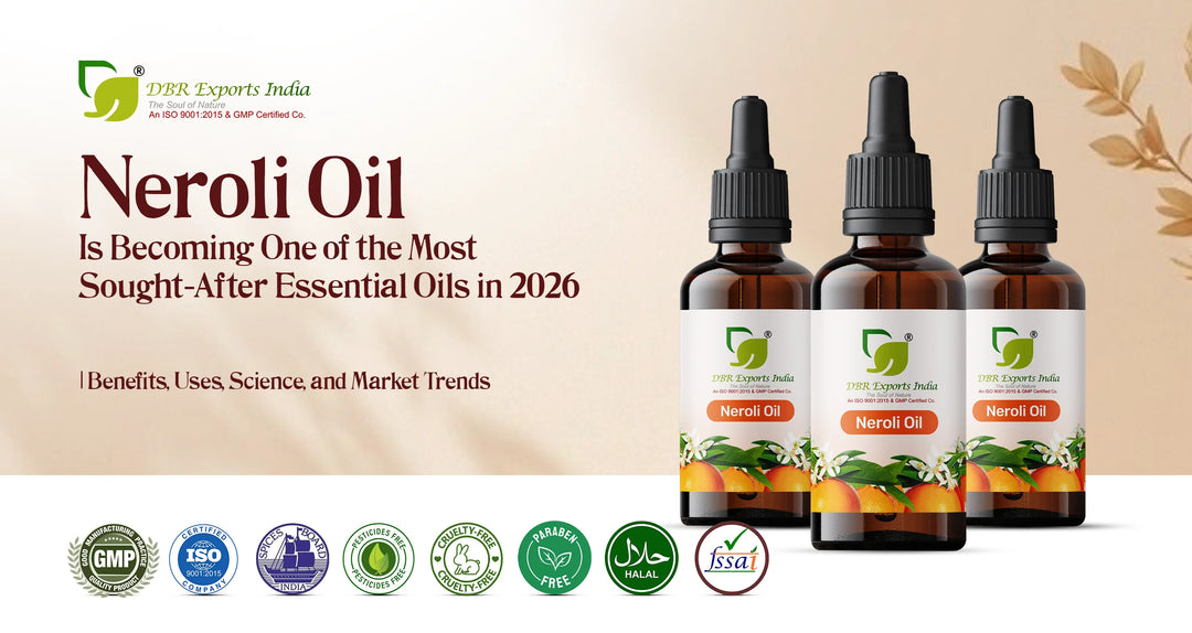 Why Neroli Oil Is Becoming One of the Most Sought-After Essential Oils in 2026: Benefits, Uses, Science, and Market Trends