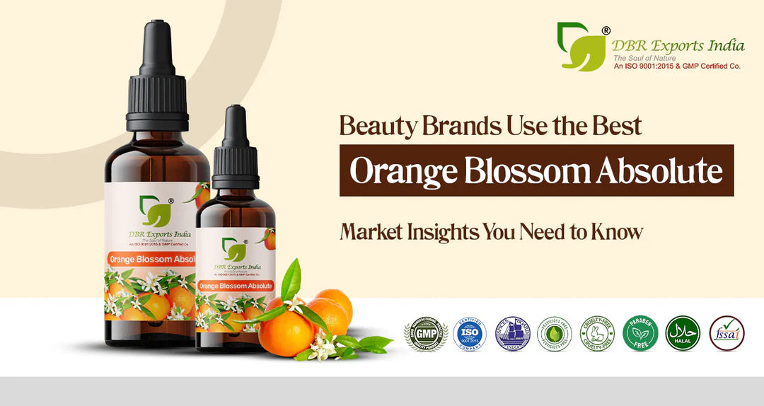 How Beauty Brands Use the Best Orange Blossom Absolute: Market Insights You Need to Know