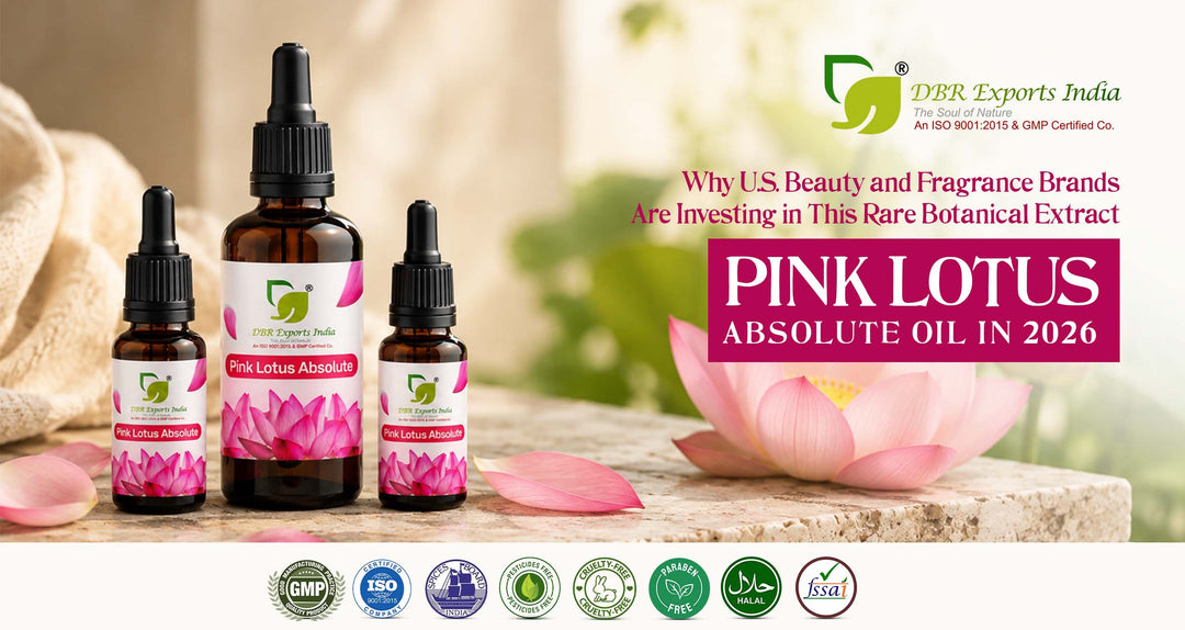 Pink Lotus Absolute Oil in 2026: Why U.S. Beauty and Fragrance Brands Are Investing in This Rare Botanical Extract