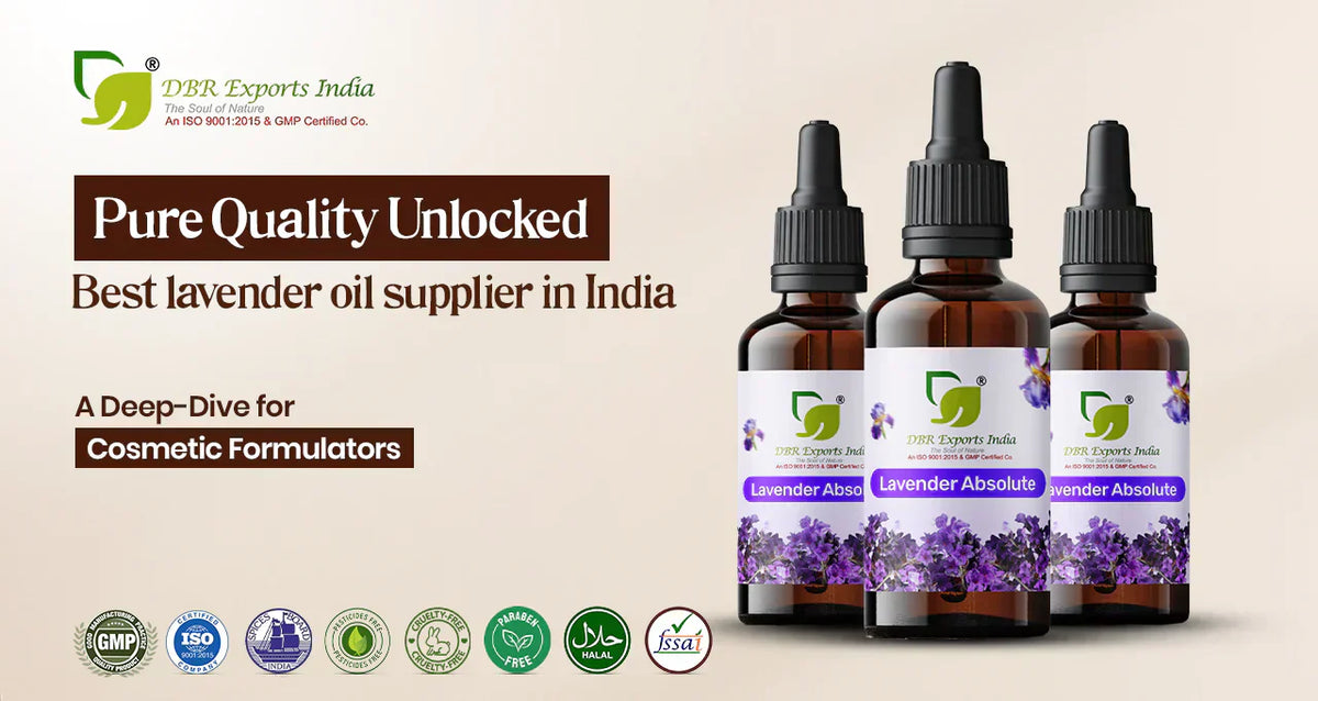 Top 7  Lavender oil suppliers