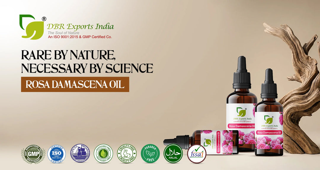 Rare by Nature, Necessary by Science: The Rise of Rosa Damascena Oil in American Skincare