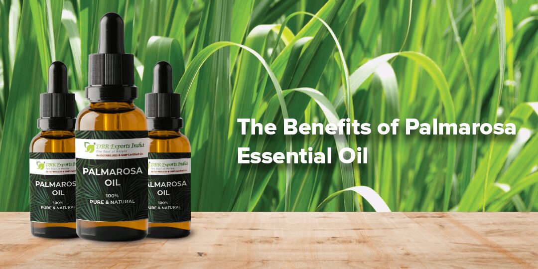 The Benefits Of Palmarosa Essential Oil - All You Need To Know