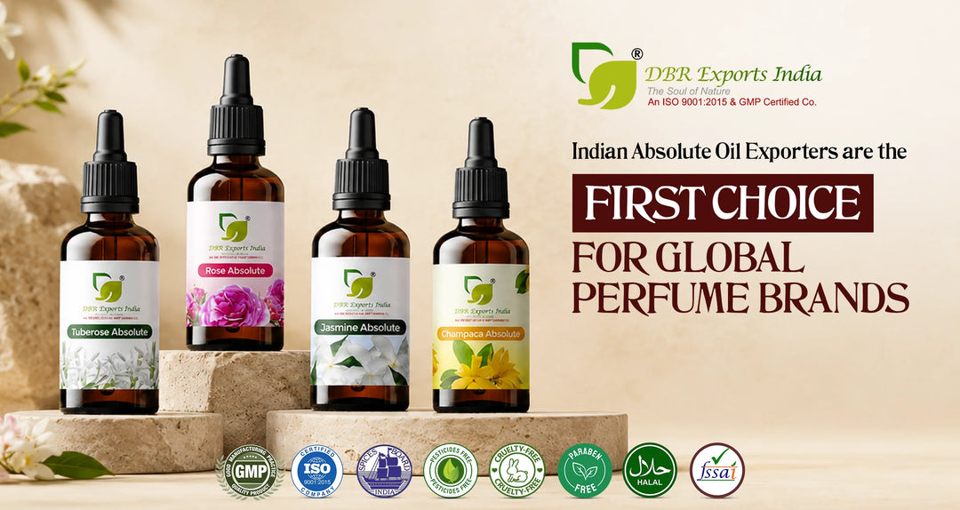 Why Are Indian Absolute Oil Exporters the First Choice for Global Perfume Brands?
