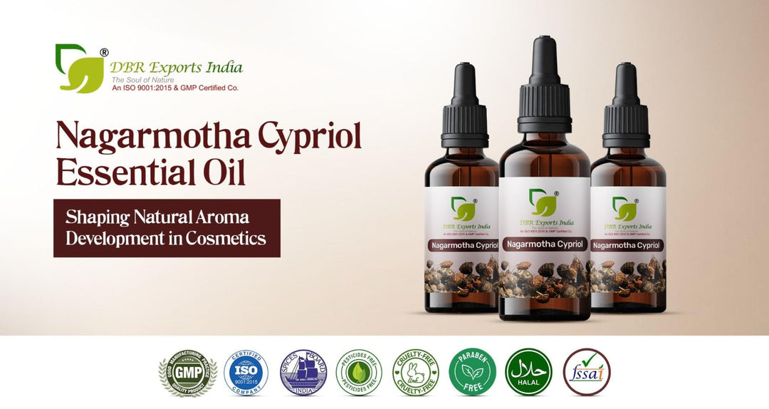 How Nagarmotha Cypriol Essential Oil Is Shaping Natural Aroma Development in Cosmetics