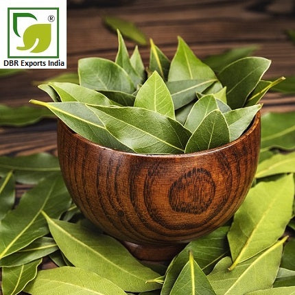 Pure Bay Essential Oil_Pimento Racemosa Oil