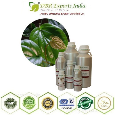 Pure Betel Leaf essential Oil steam distilled
