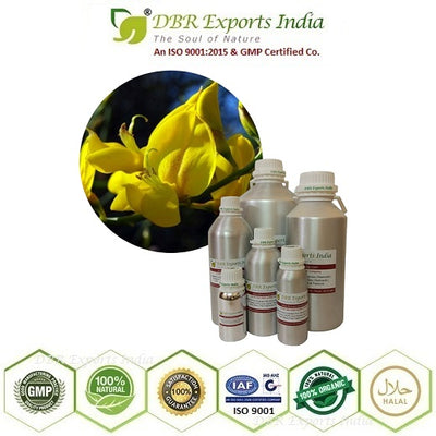 Pure Broom Absolute Oil via solvent Extraction