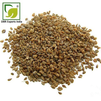 Pure Celery Seed Oil_Apium Graveolens Oil by DBR Exports India