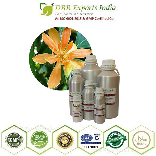 Champaca Absolute Oil | DBR Exports India