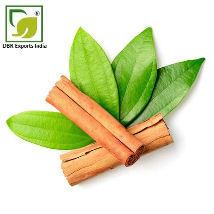 Cinnamon Leaf Oil_Cinnamomum Zeylanicum Oil