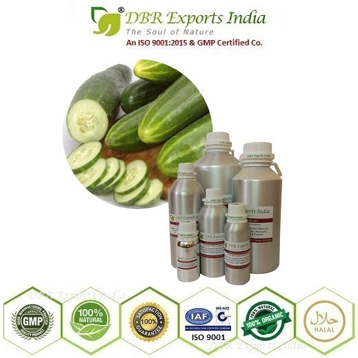 Pure Cucumber Seed Oil cold Pressed