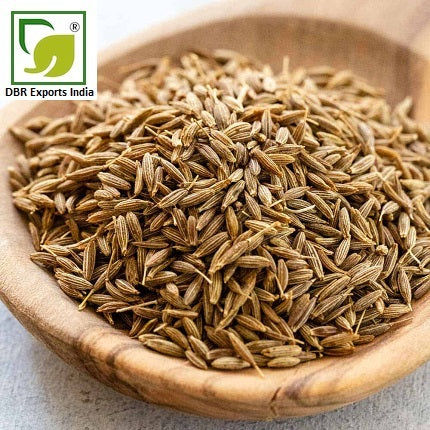 Cumin Seed Oil Co2_cumin seed co2 extract