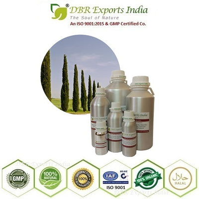 Cypress Essential Oil _ Organic Cypress Essential Oil