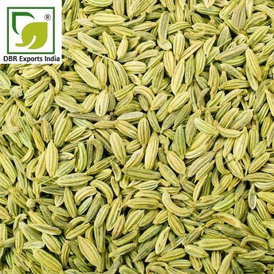 Pure Fennel Essential Oil_Foeniculum vulgare essential oil