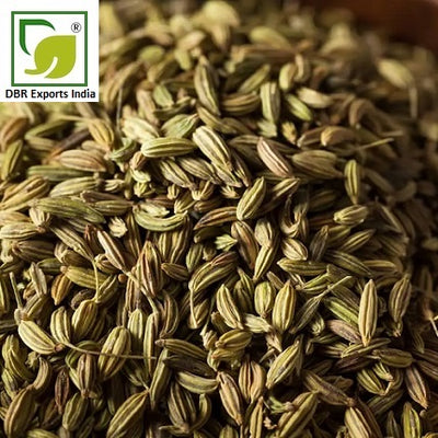 Pure Fannel Seed Oil Co2_Pure Foeniculum Vulgare Oil Co2 by DBR Exports India