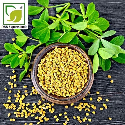 Pure Fenugreek Oil Co2_Pure Trigonella Foenum Graecum Oil Co2 by DBR Exports India