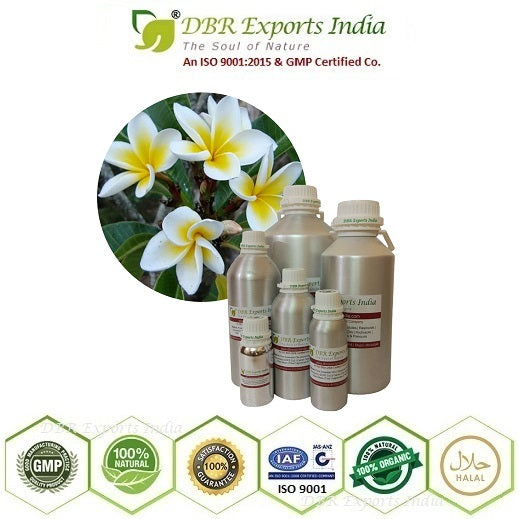 Pure Frangipani Absolute Oil via solvent Extraction