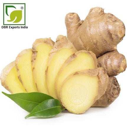Pure Ginger Oil_Pure Zingiber Officinale Oil by DBR Exports India