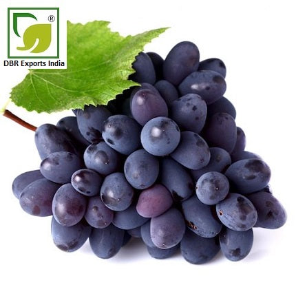 Pure Grapeseed Oil_Pure Vitis Vinifera Oil by DBR Exports India