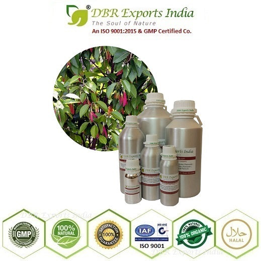 Pure Gurjan Balsam essential Oil steam distilled