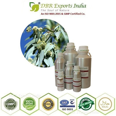 Pure Lemon Eucalyptus essential Oil steam distilled