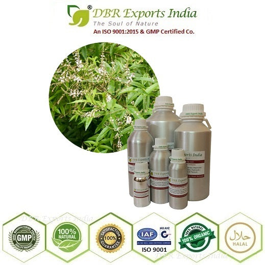 Pure Lemon Verbena essential Oil steam distilled