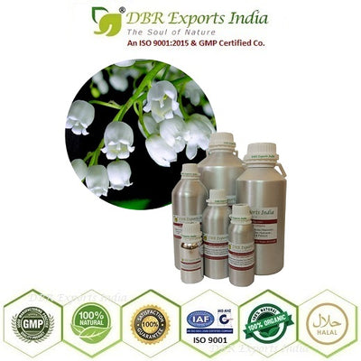 Lily of the Valley Absolute Oil via solvent Extraction