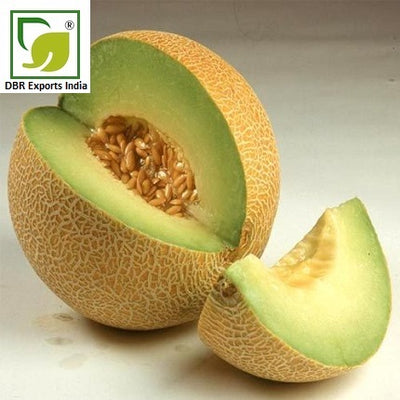 Pure Muskmelon Oil_Pure Cucumis melo Oil by DBR Exports India