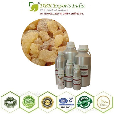 Pure Olibanum Absolute Absolute Oil via solvent Extraction