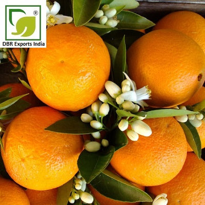 Pure Orange Blossom Abs Oil_Citrus aurantium Oil by DBR Exports India