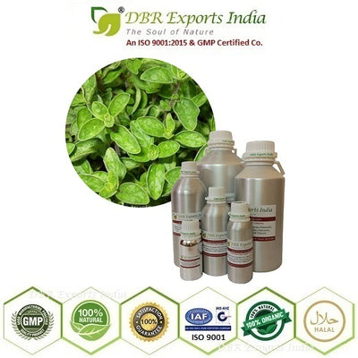 Oregano essential Oil steam distilled
