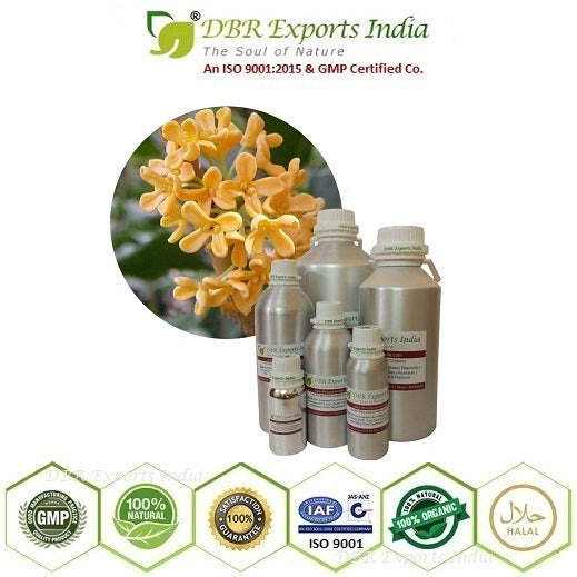 Osmanthus Absolute Oil via solvent Extraction