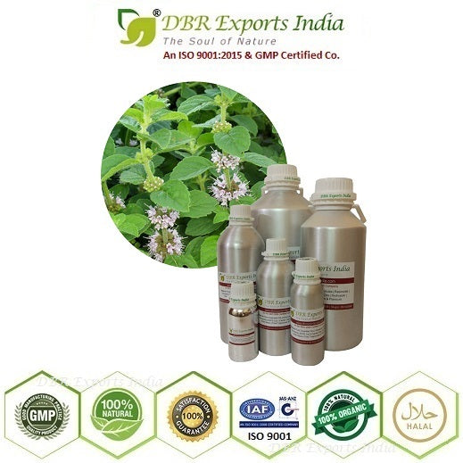 Peppermint essential Oil steam distilled