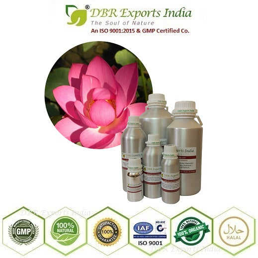 Pure Pink Lotus Absolute Oil via solvent Extraction