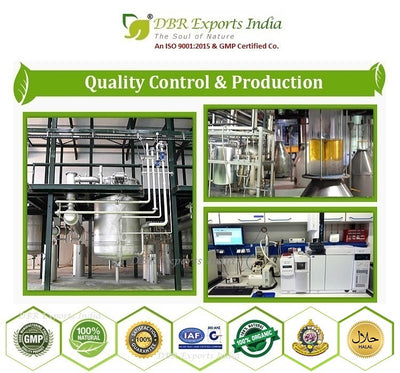 Yarrow Oil_Processing plant