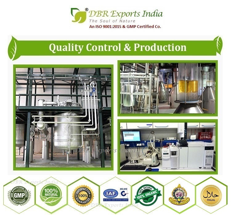 Yarrow Oil_Processing plant