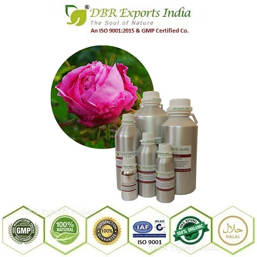 Pure Rose De Mai Absolute Oil via solvent Extraction