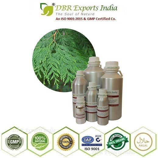Pure Thuja essential Oil steam distilled