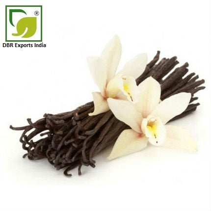Vanilla Fragrance Oil by DBR Exports India